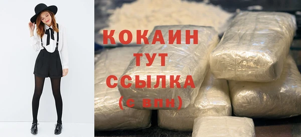 крисы Кодинск