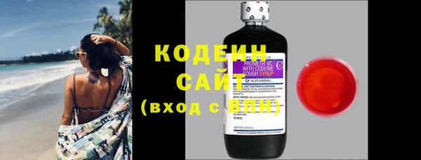 крисы Кодинск