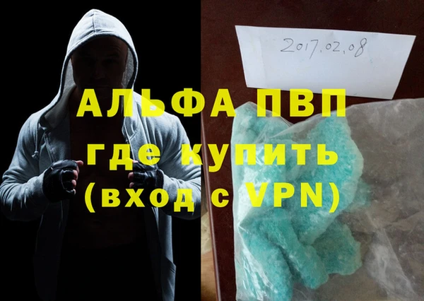 крисы Кодинск