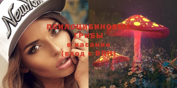 крисы Кодинск