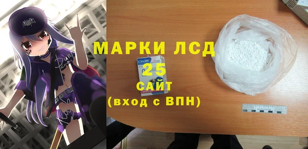 крисы Кодинск