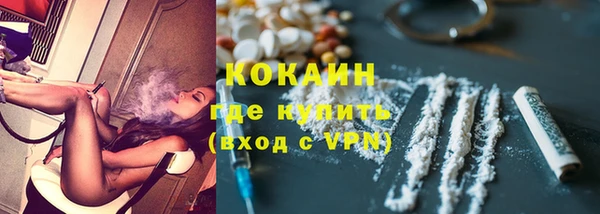 крисы Кодинск