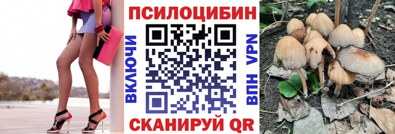 kraken вход  Южно-Сахалинск  Псилоцибиновые грибы GOLDEN TEACHER 